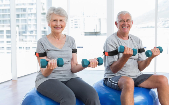 Senior couple exercising with dumbbells on stability balls indoors.